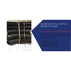 Pipa Bend Hot Induction 5D API 5L Gr. B Pantech Steel 2